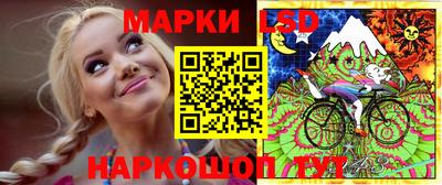 амф Гатчина