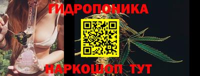 амф Гатчина