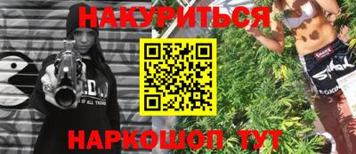 амф Гатчина