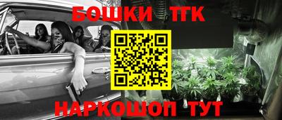 амф Гатчина