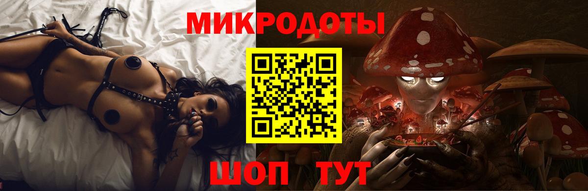 как найти закладки  Вход с VPN  Псилоцибиновые грибы GOLDEN TEACHER  Нижнекамск  Галлюциногенные грибы GOLDEN TEACHER 